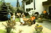 Grillen